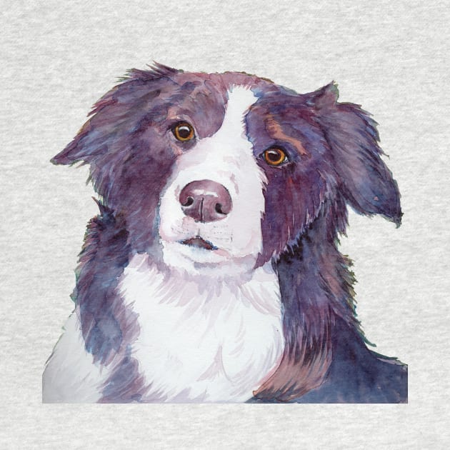 Border Collie - coloristic by doggyshop